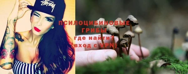 ГАЛЛЮЦИНОГЕННЫЕ ГРИБЫ Балабаново