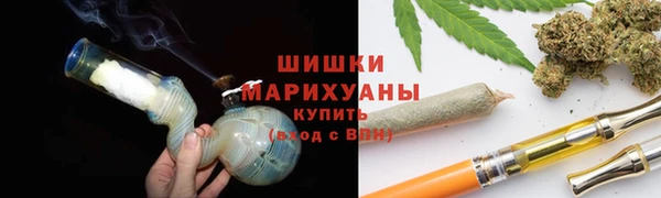 ПСИЛОЦИБИНОВЫЕ ГРИБЫ Белоозёрский