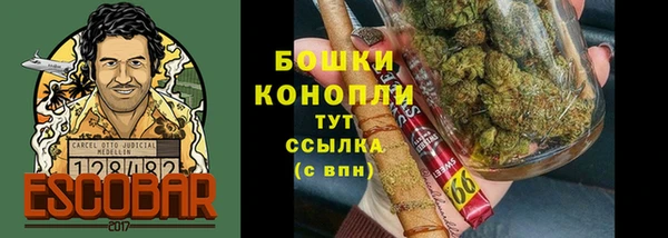 ГАЛЛЮЦИНОГЕННЫЕ ГРИБЫ Балабаново