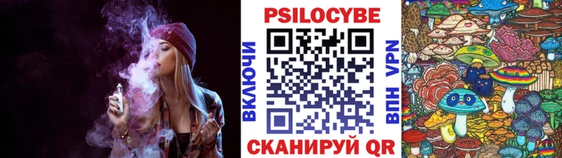 Псилоцибиновые грибы MAGIC MUSHROOMS  Новоалександровск 